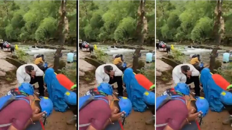 नाशिकमध्ये पर्यटकांवर मधमाशांचा हल्ला! धबधब्याजवळ ड्रोन उडवल्याने घडली घटना