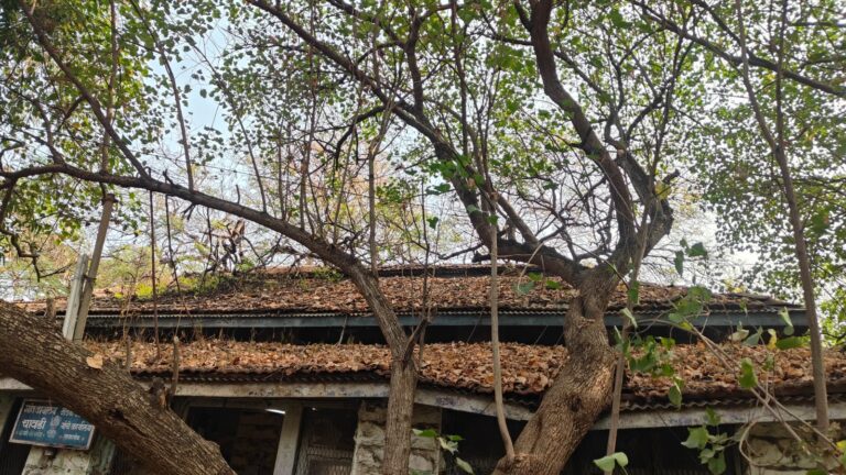 तासगावच्या ऐतिहासिक चावडीचा होतोय ऱ्हास: इतिहासाची साक्ष देणाऱ्या विजयस्तंभाची होत आहे अवहेलना