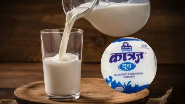 पुणेकरांना महागाईचा आणखी एक झटका; कात्रज डेअरीच्या दुधात ‘2’ रुपयांची वाढ!